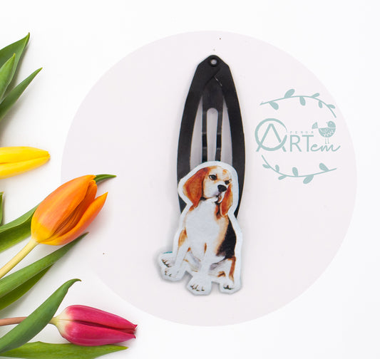 Beagle kiskutyás csatt